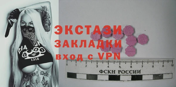 дмт Богданович