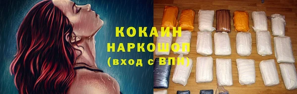 дмт Богданович