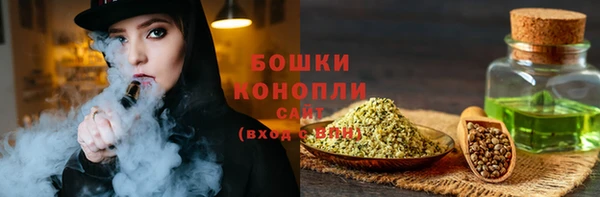 шишки Богородицк