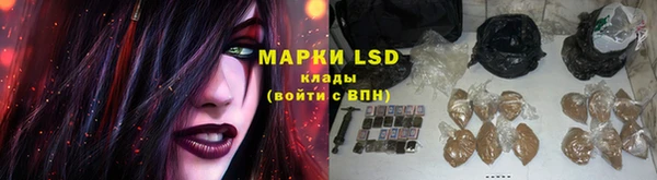 шишки Богородицк