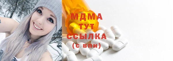 дмт Богданович