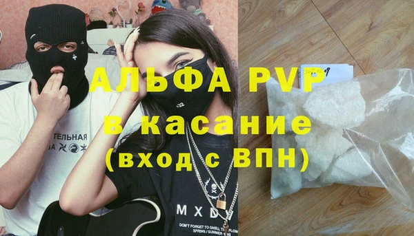 гашик Богородск