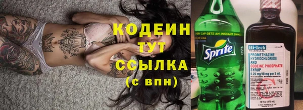 дмт Богданович