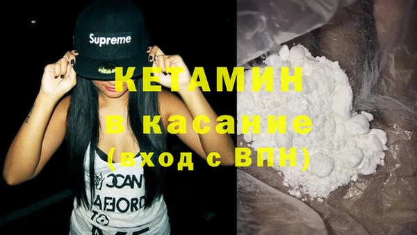 шишки Богородицк