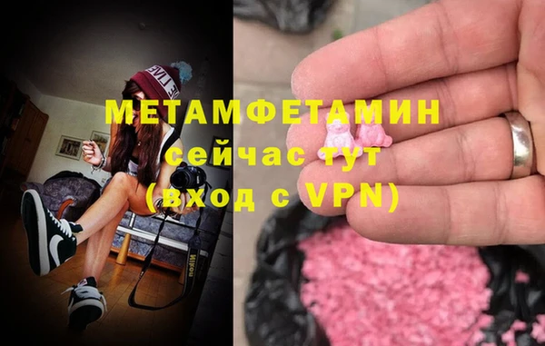 шишки Богородицк