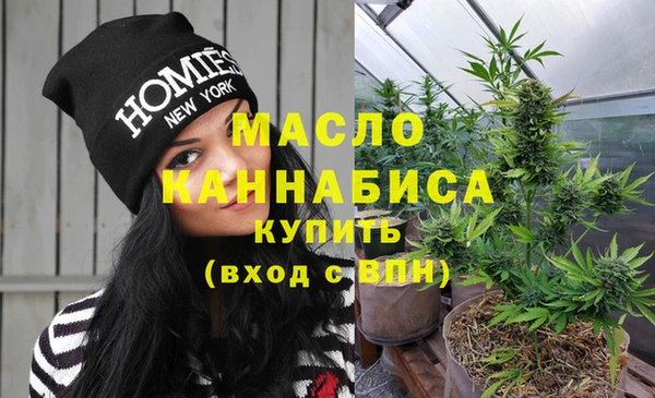 гашик Богородск