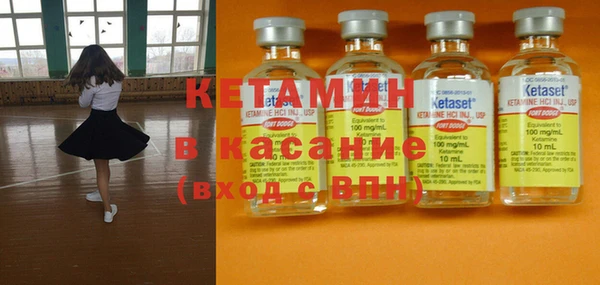 шишки Богородицк