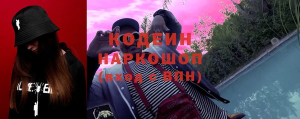 дмт Богданович