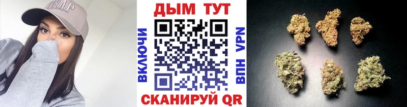 Бошки марихуана ГИДРОПОН  hydra ссылка  Невьянск 